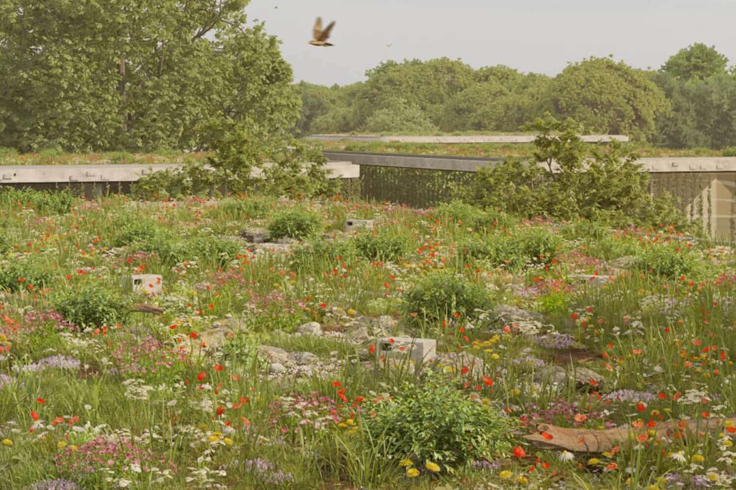 Her ses et grønt tag med blomster, sået på flere bygninger med fladt tag