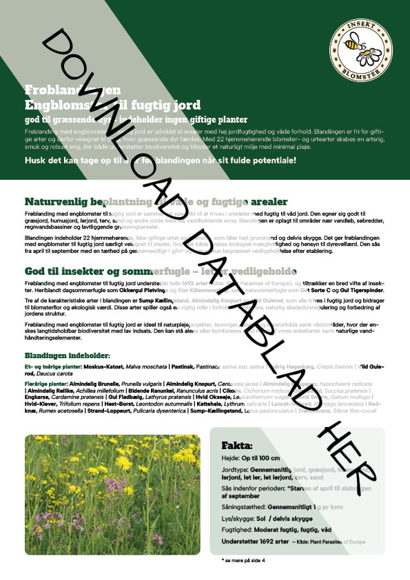 Datablad_Froeblanding_Engblomster_fugtig_jord