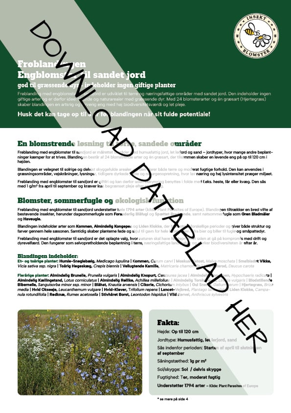 Datablad_Froeblanding_Engblomster_sandjord