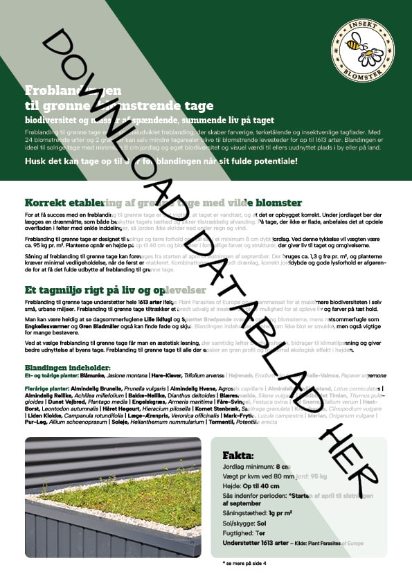 Datablad_Froeblanding_Groennetage