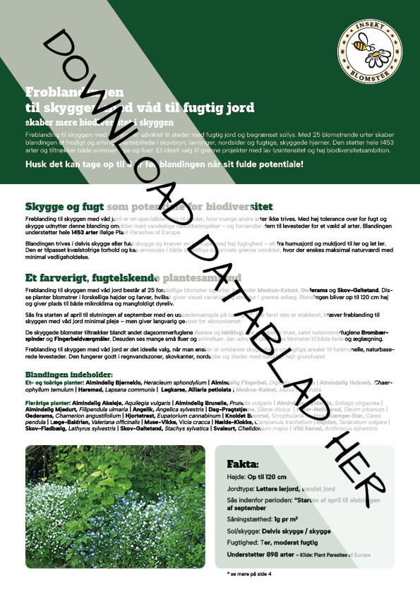 Datablad_Froeblanding_Skygge_fugtig_jord
